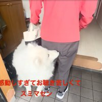 すり寄るセブンちゃん