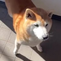 お母さんのことが大好き