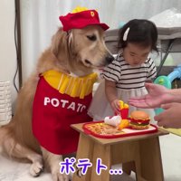 ほのちゃんも店員さんに…