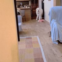 「なに？？」