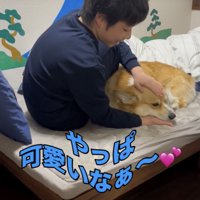 屈してしまったお兄ちゃん