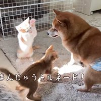 部屋がカオス状態に…