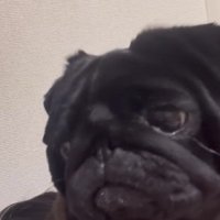 「なにか問題でも…？」