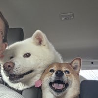 ドライブ