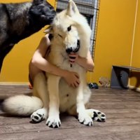 生後5か月半のフューリーくん