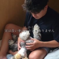 仰向けになって、飼い主にじゃれつく犬