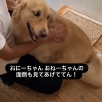エマちゃんとパパさんの再会9