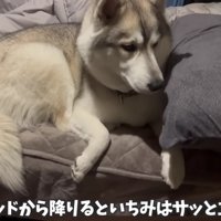 夜中の授乳のお付き合い