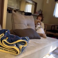 ママの方へ向かう犬