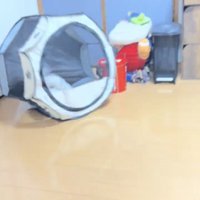 横倒しになったサークル