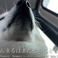 「早く着かないかなあ…」