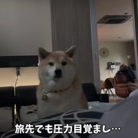 旅行先での朝