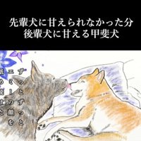 甘えん坊なハルヱちゃんの過去と現在6