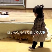 家の中で追いかけっこ