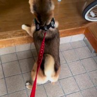 おばあちゃんと会えた瞬間