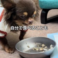 テープくんの変化8