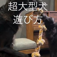 迫力に圧倒されそう…！！