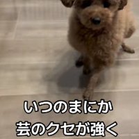 高速バックして…