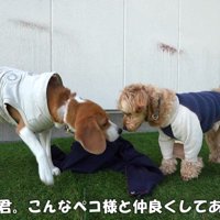 対照的な2匹ですが、どちらも可愛い♪