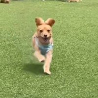 本当はこんなにあどけない♡