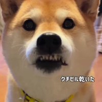 歯茎は出たまま…！