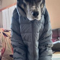 ダウンジャケットはかけるに限る！？