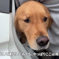 「本当に病院なの？」