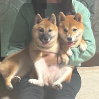 仲良し