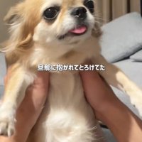 シアルちゃんを迎えた日8