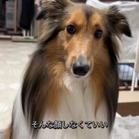 「許してあげる」とナデナデ♪