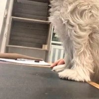 寂しがっていないかな？