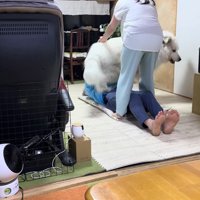 ドレミちゃんが2人の間に！！
