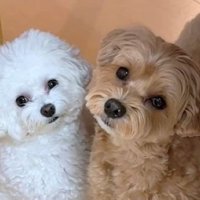 可愛すぎるシンクロ♡