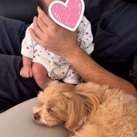 赤ちゃんと寝ている犬