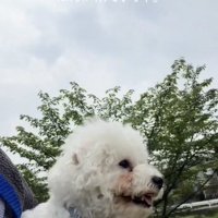 ぽんちゃん、穏やかな笑顔