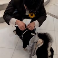 おやつを食べるラックくん