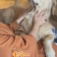 撫でてもらう大型犬