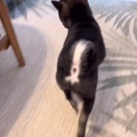 楽しそうなもずくくん