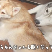 みんなで見守るよ