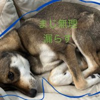 「まじで無理」