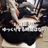 飼い主さんの周りに4姉妹が集合♪