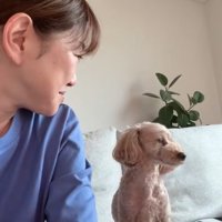 そっぽを向く小型犬