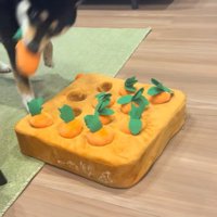 知育おもちゃで遊ぶくろべえ君2