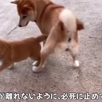 「あ！こら！」