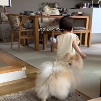 可愛い後姿のコタローくん