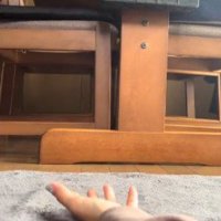カメラに映る黒い犬の顔