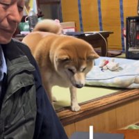 無視するお父さん