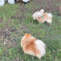 様子見