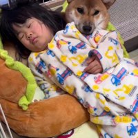 二度寝したい女の子が向かったのは…