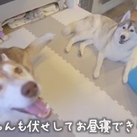 にこちゃん落ち着けるかな？